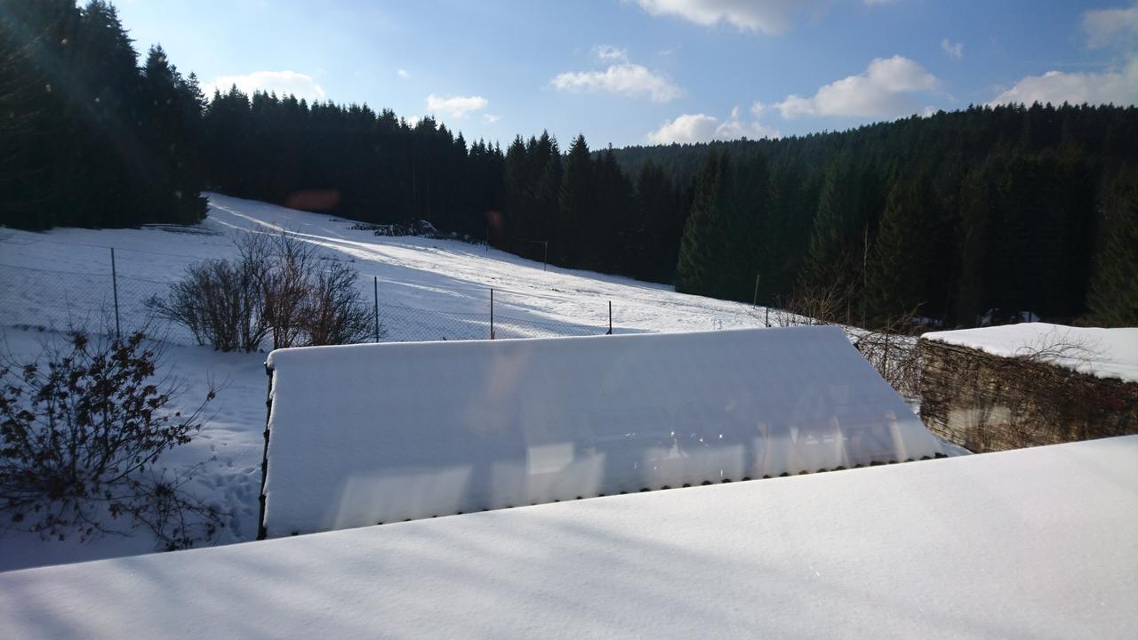 Quellenhof Altenau Altenau  Exteriör bild